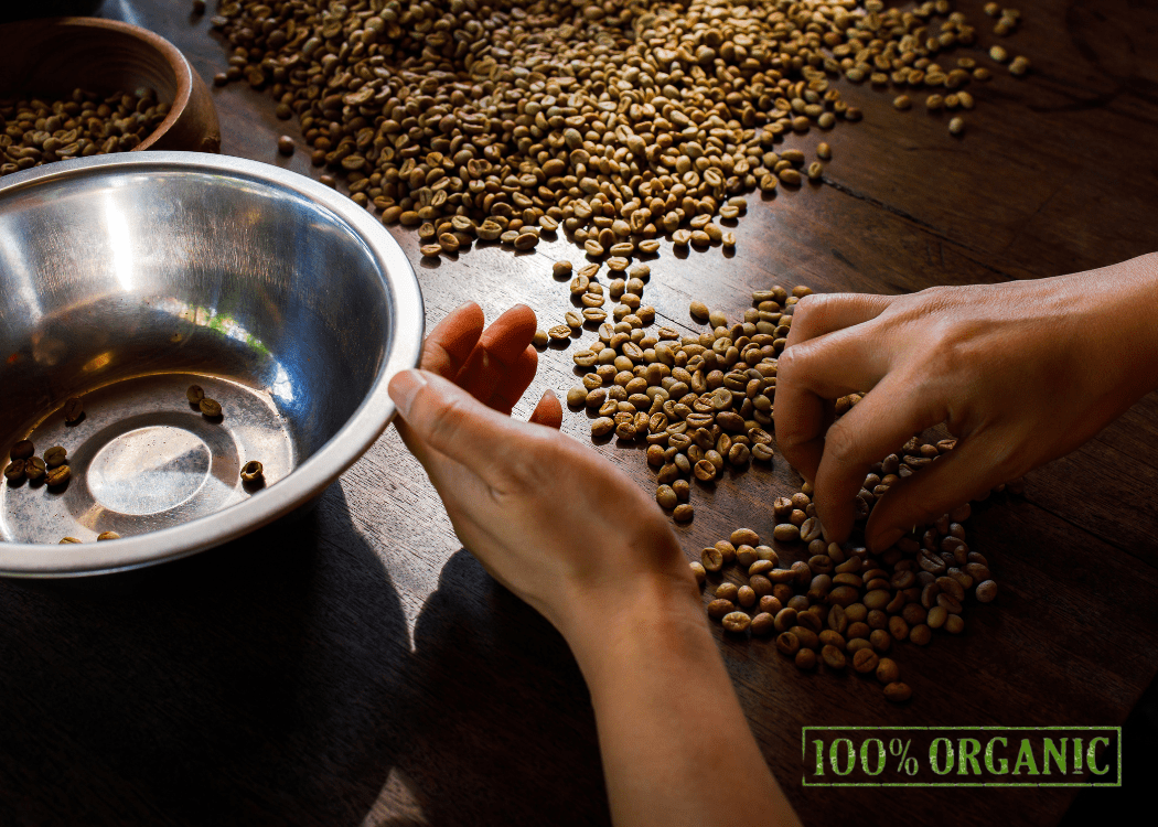 What Is Organic Coffee?